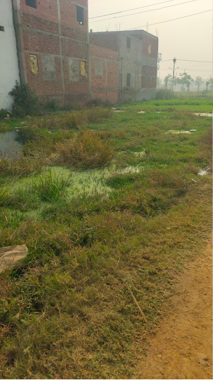 Main Photo