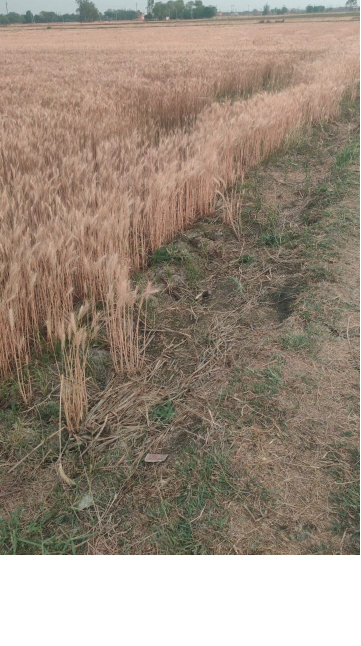 Main Photo