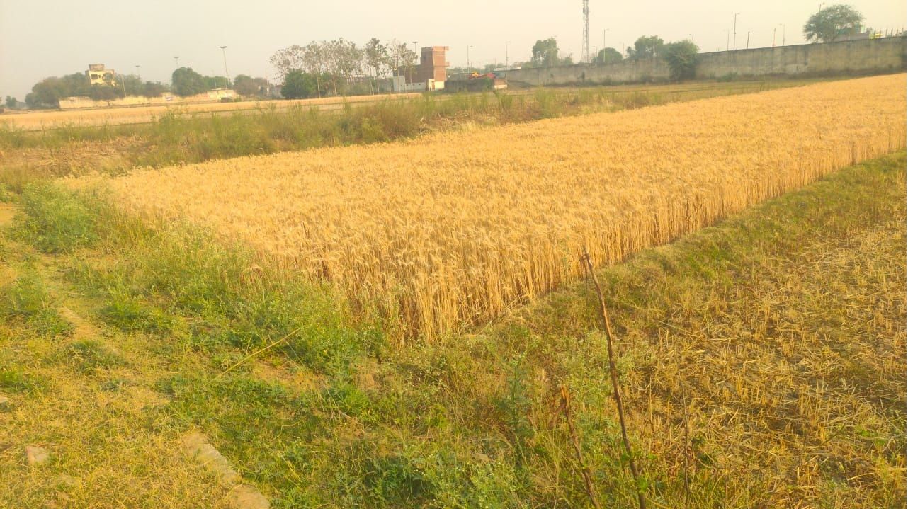 Similar Property
