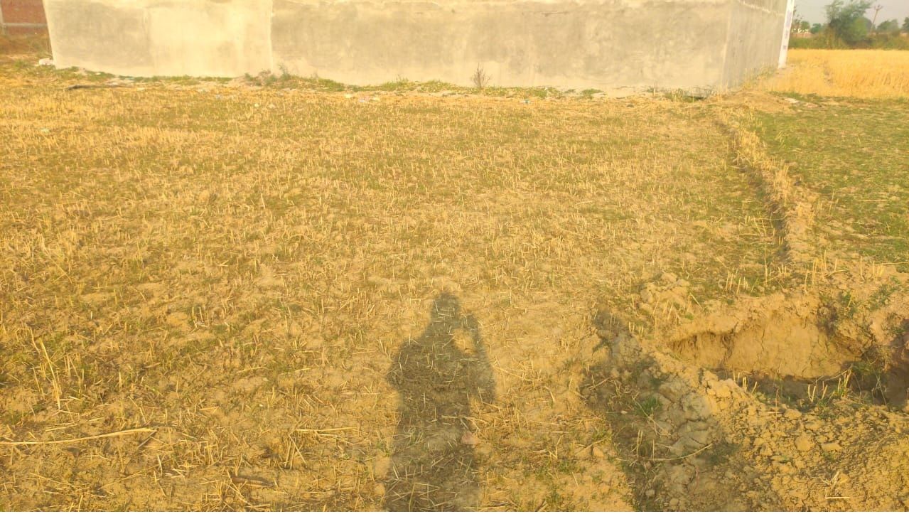 Similar Property
